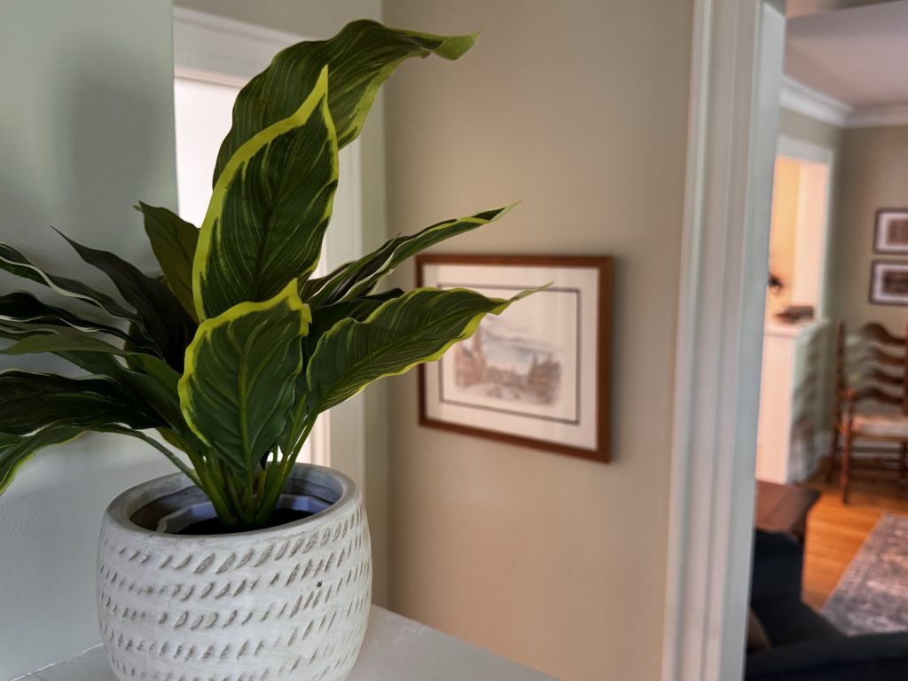 Nice touches throughout the home.