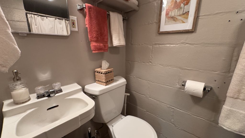 Basement bathroom, with shower.
