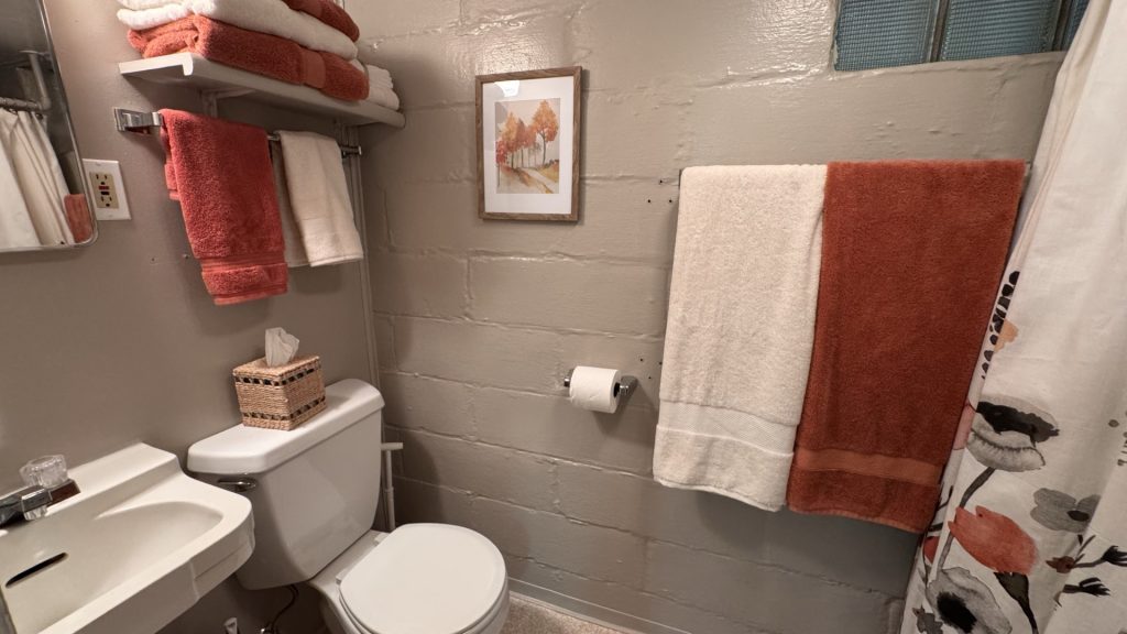 Basement bathroom, with shower.