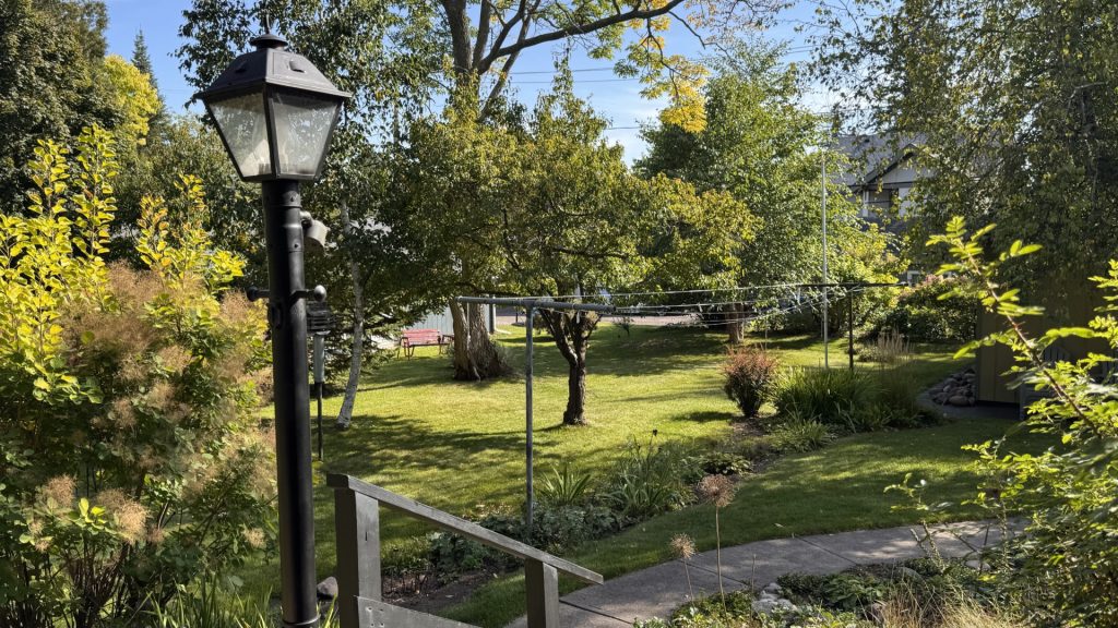 Beautiful backyard & garden. Path seen to the garage in the back right.